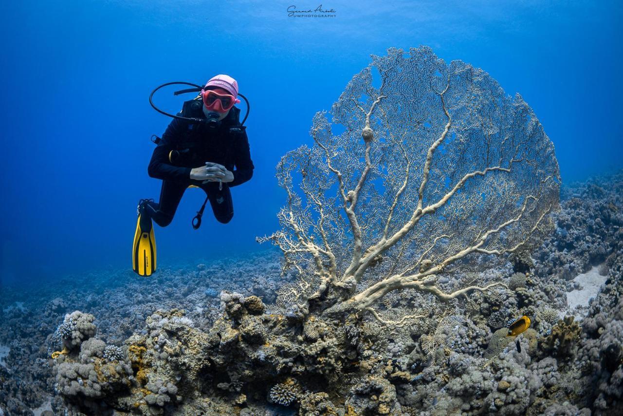Bait Alaqaba Dive Center & Resort ภายนอก รูปภาพ
