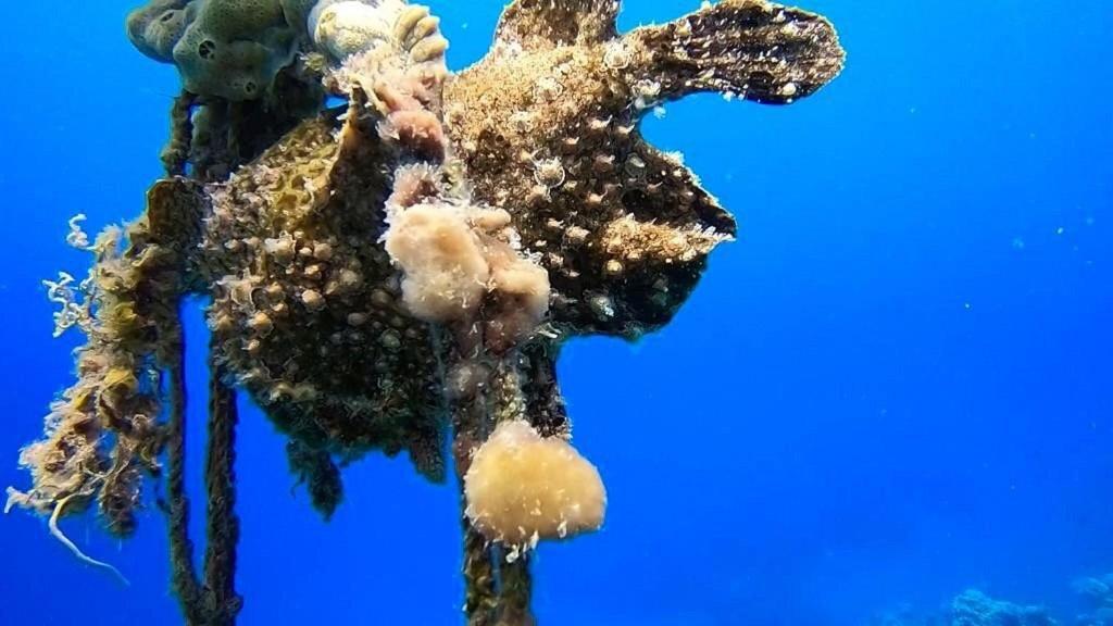 Bait Alaqaba Dive Center & Resort ภายนอก รูปภาพ